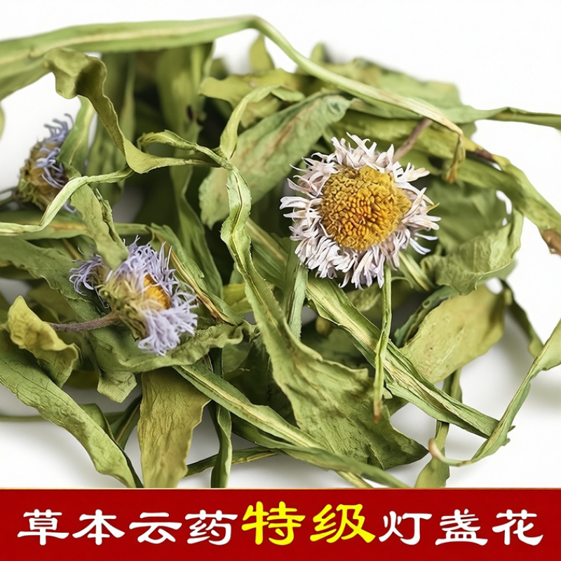 (云南灯盏花)中药材灯盏花天然新货灯盏细辛灯盏草包