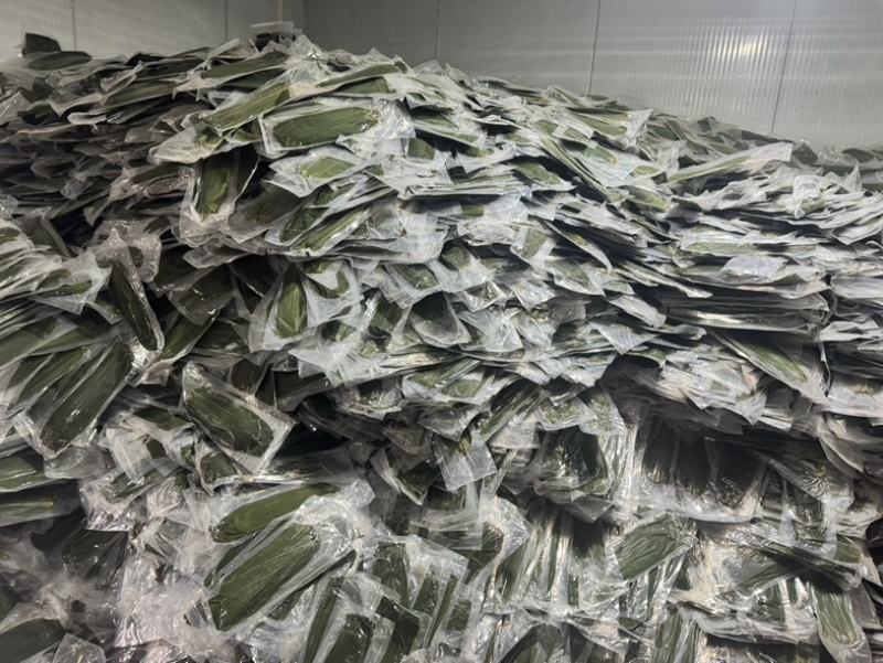 透明包装精选7-9公分宽箬叶