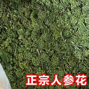 长白山人参花新鲜人参花蕾西洋参花正宗干人参花茶泡水东北大