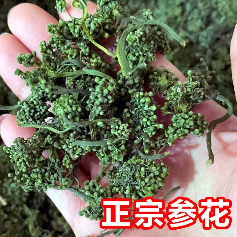 长白山人参花新鲜人参花蕾西洋参花正宗干人参花茶泡水东北大