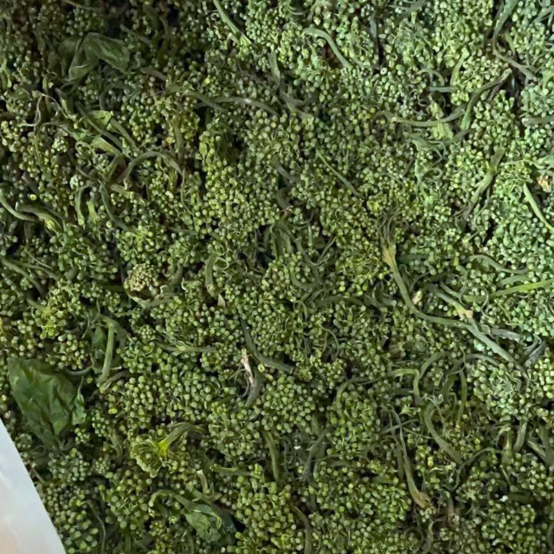 长白山人参花新鲜人参花蕾西洋参花正宗干人参花茶泡水东北大