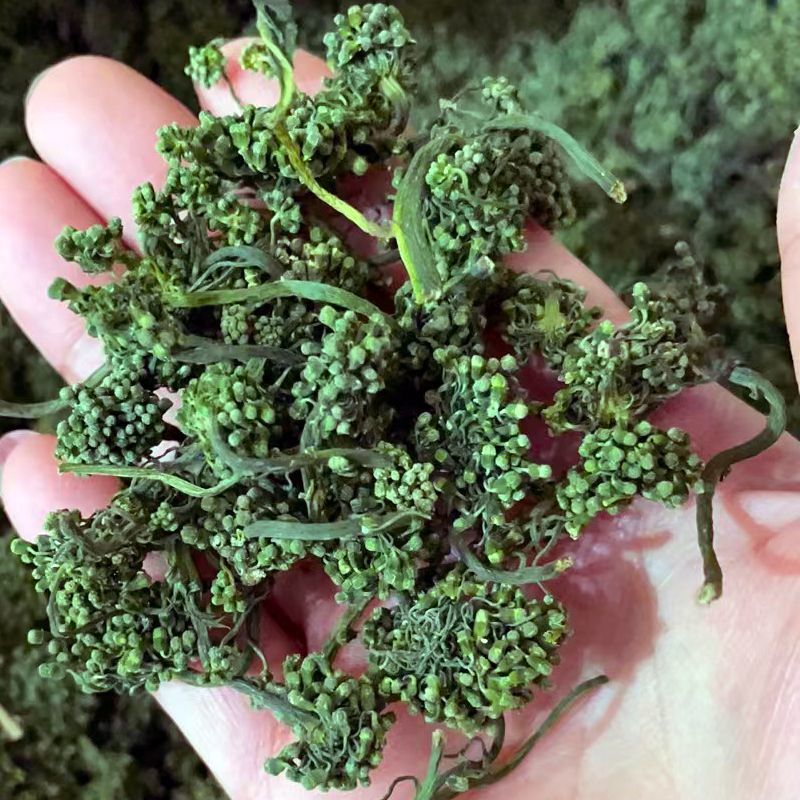 长白山人参花新鲜人参花蕾西洋参花正宗干人参花茶泡水东北大