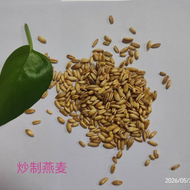 供应炒制燕麦粒