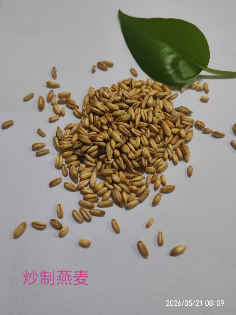 供应炒制燕麦粒