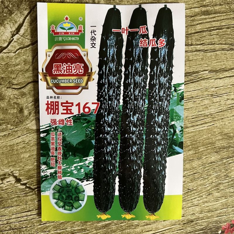 金鑫黑油亮黄瓜种子绿心绿瓤深绿油亮耐热耐低温黄瓜种子四季