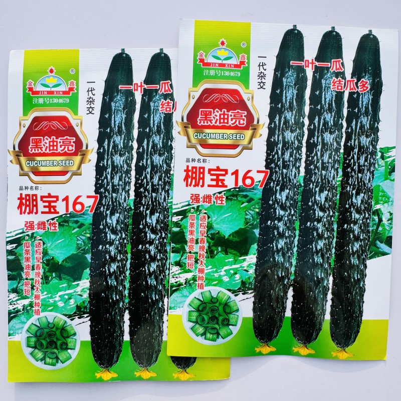 金鑫黑油亮黄瓜种子绿心绿瓤深绿油亮耐热耐低温黄瓜种子四季