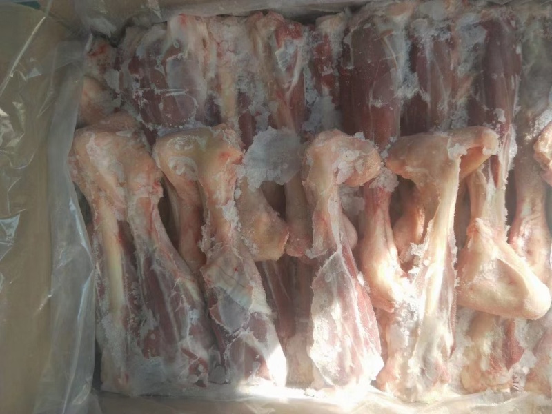 锡盟草地羊，羔羊后腱