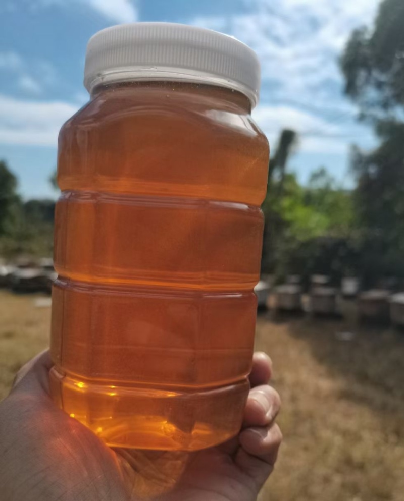 中华蜂土蜂蜜，广东蜂蜜，一手货源，量大从优，保质保量