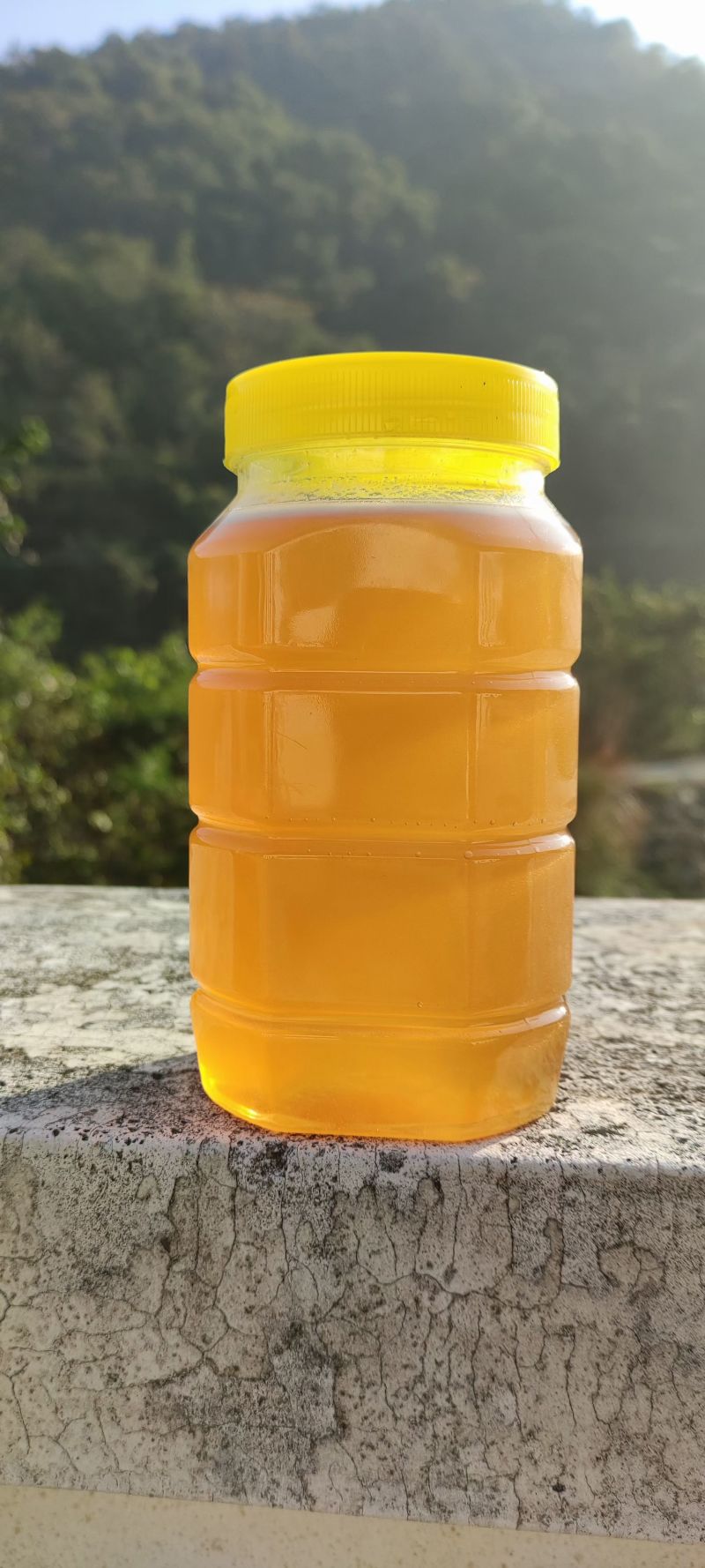 中华蜂土蜂蜜，广东蜂蜜，一手货源，量大从优，保质保量