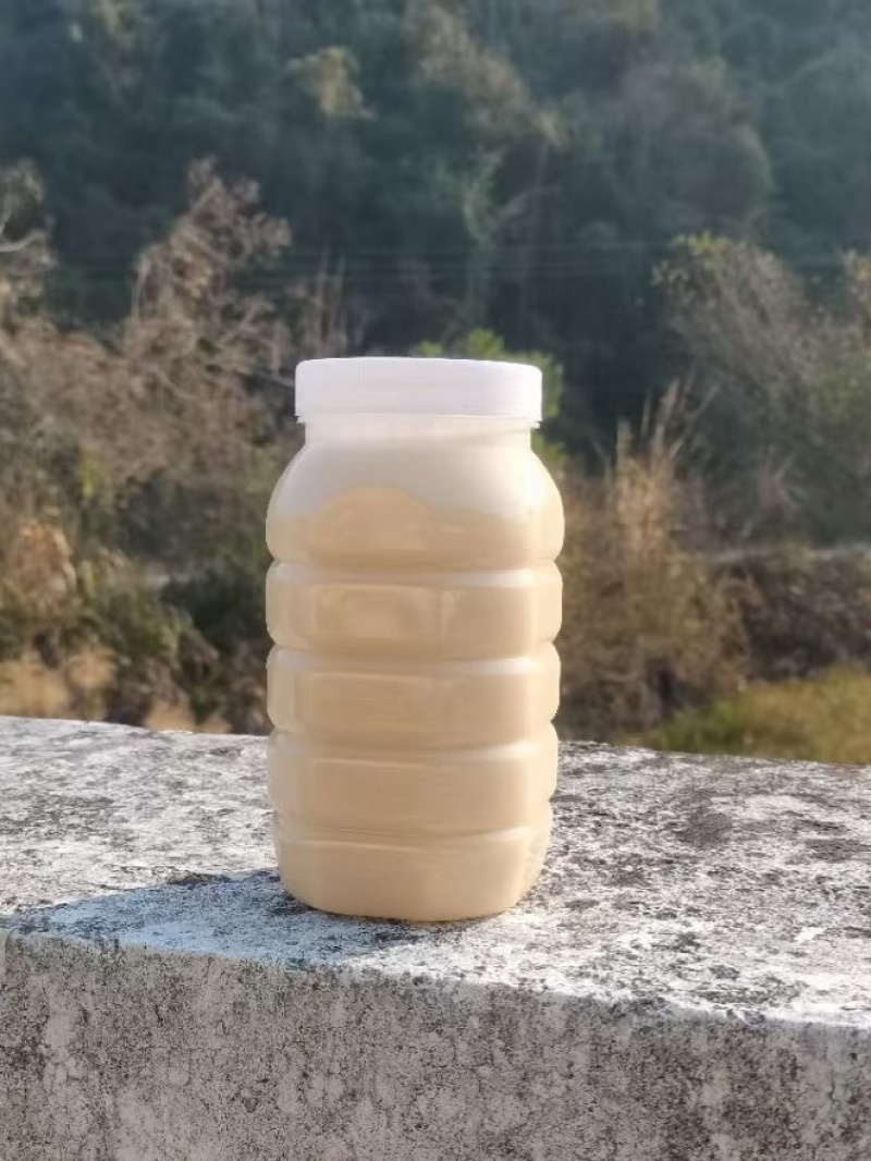 鸭脚木土蜂蜜，基地蜂蜜直发，保真保质保量，可视频看货