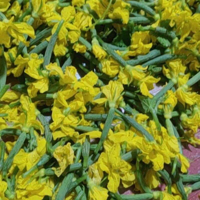青瓜花