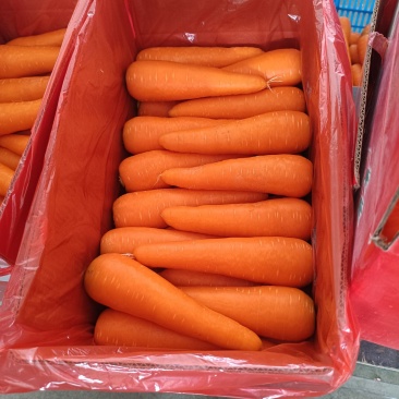 胡萝卜