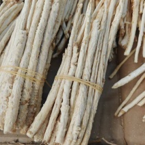 北沙参条无硫沙参干散装干货批发供应煲汤食材货足