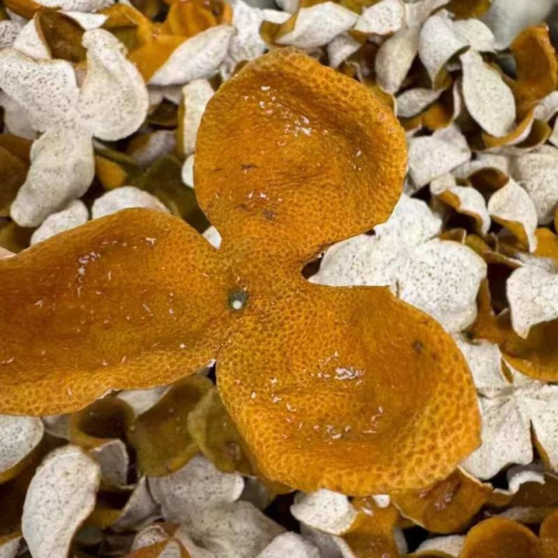 陈皮整片箱装新会陈皮，量大从优，电联可议价