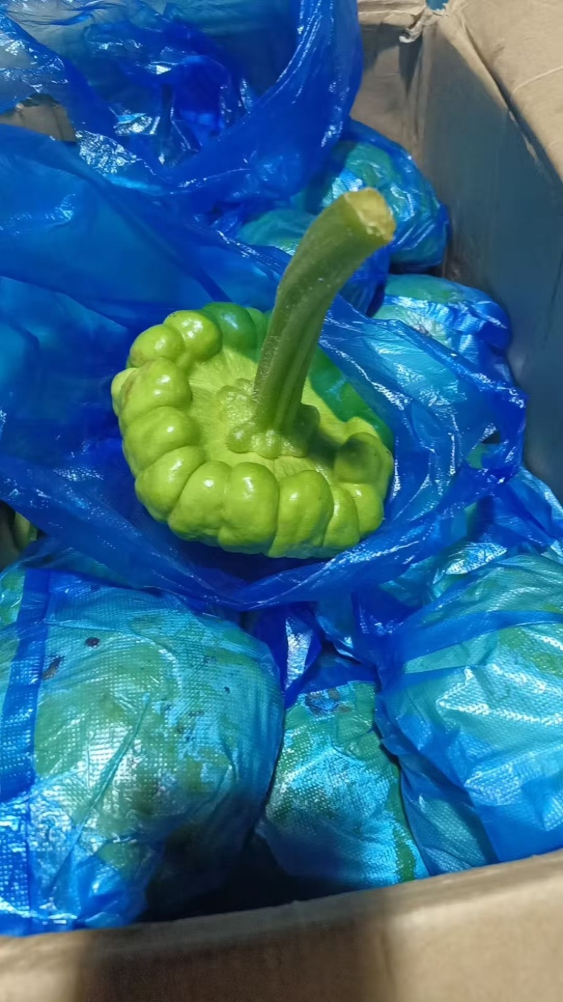 姜饼瓜