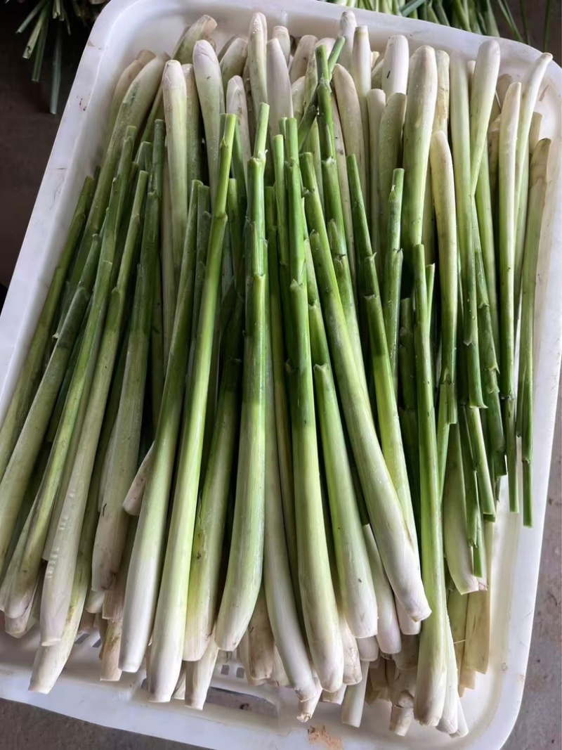 去叶香茅草