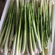 去叶香茅草