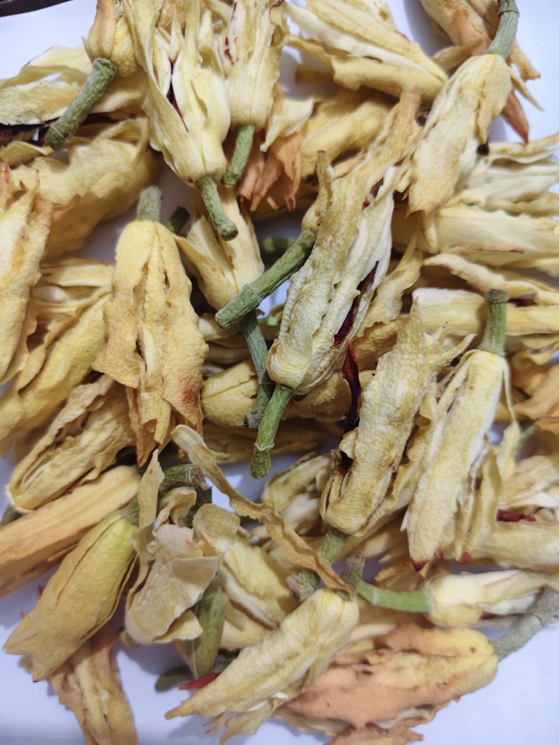 干花白兰花鲜花冻干后的玉兰花干花茶用花香花