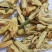 干花白兰花鲜花冻干后的玉兰花干花茶用花香花