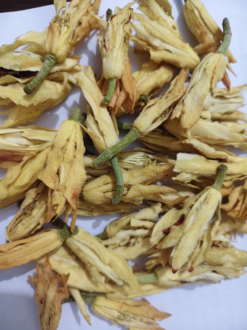 干花白兰花鲜花冻干后的玉兰花干花茶用花香花