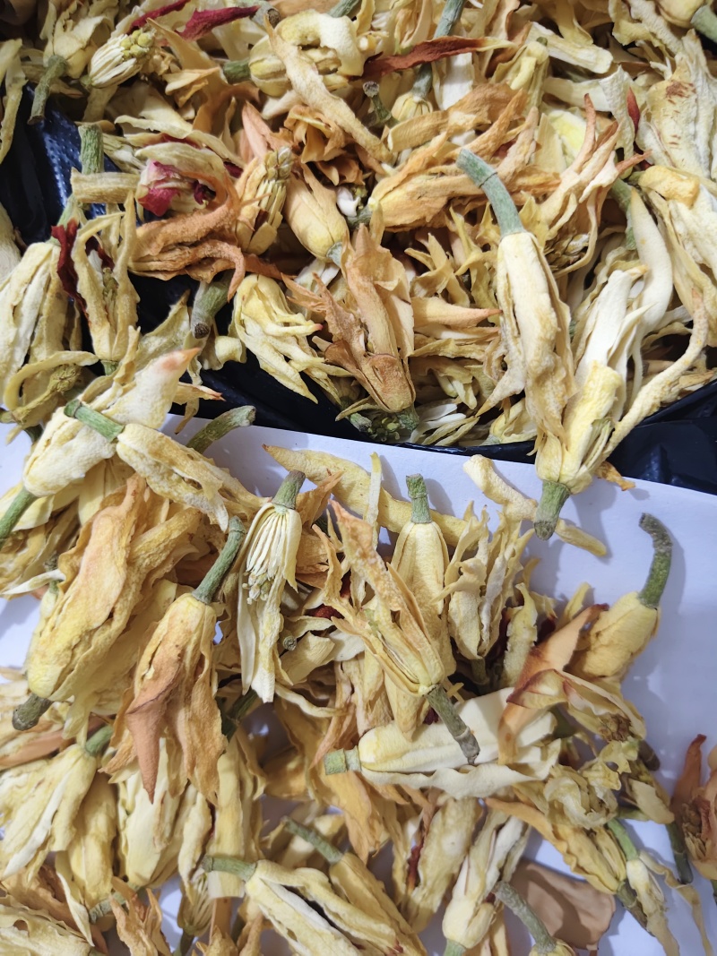干花白兰花鲜花冻干后的玉兰花干花茶用花香花