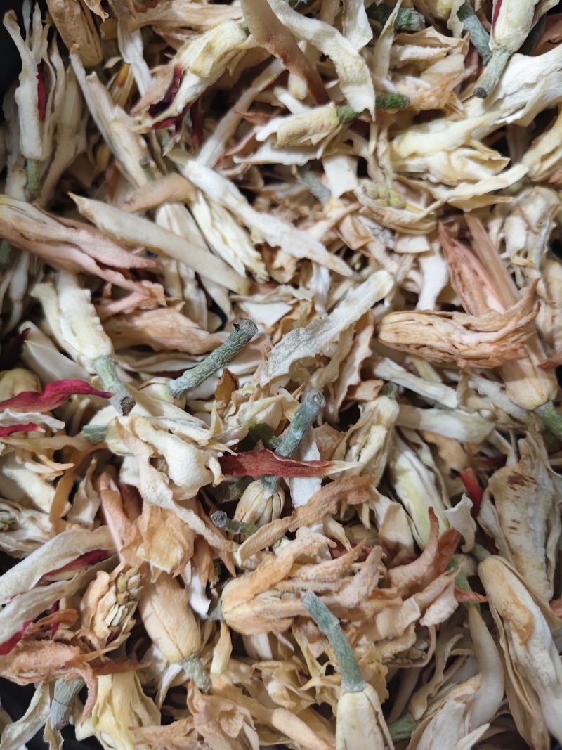 干花白兰花鲜花冻干后的玉兰花干花茶用花香花