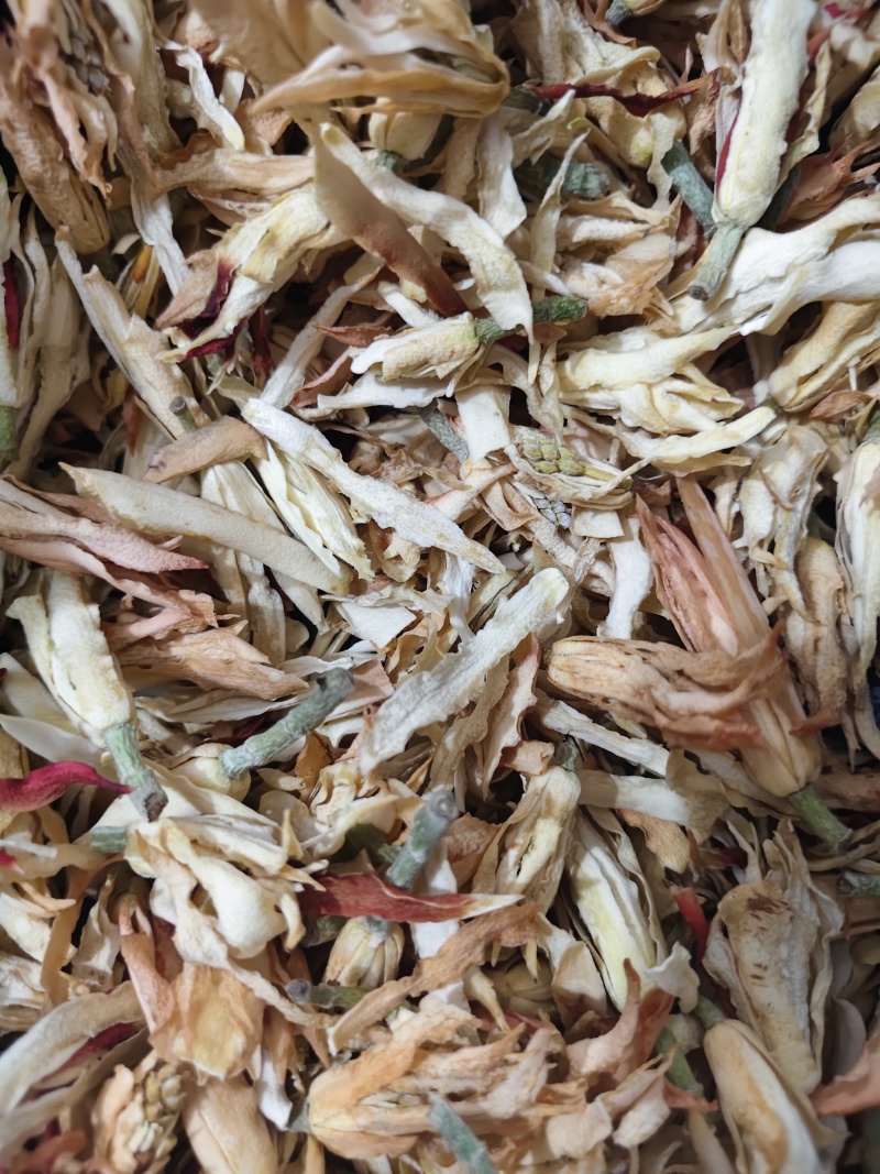 干花白兰花鲜花冻干后的玉兰花干花茶用花香花