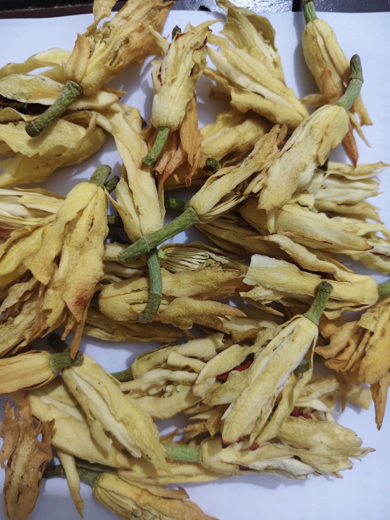 干花白兰花鲜花冻干后的玉兰花干花茶用花香花