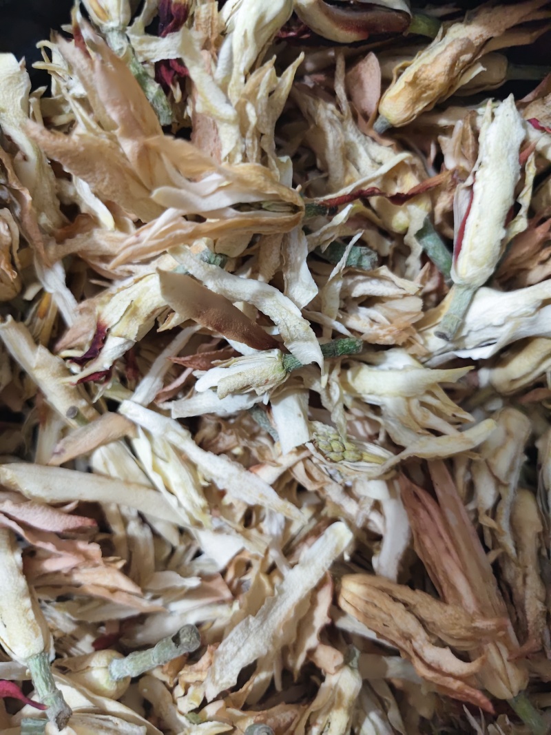 干花白兰花鲜花冻干后的玉兰花干花茶用花香花