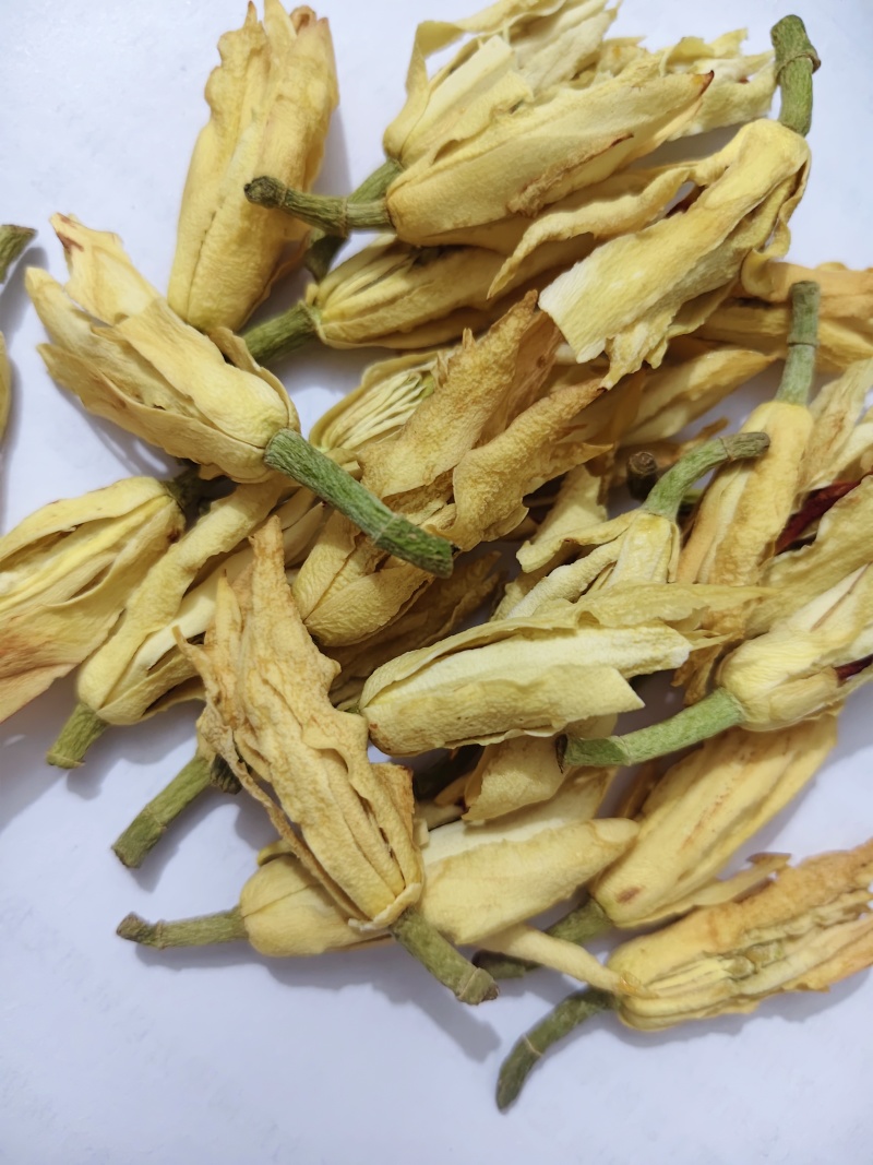 干花白兰花鲜花冻干后的玉兰花干花茶用花香花