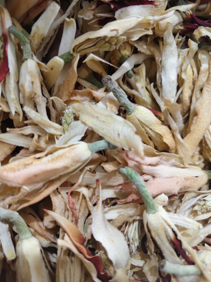 干花白兰花鲜花冻干后的玉兰花干花茶用花香花