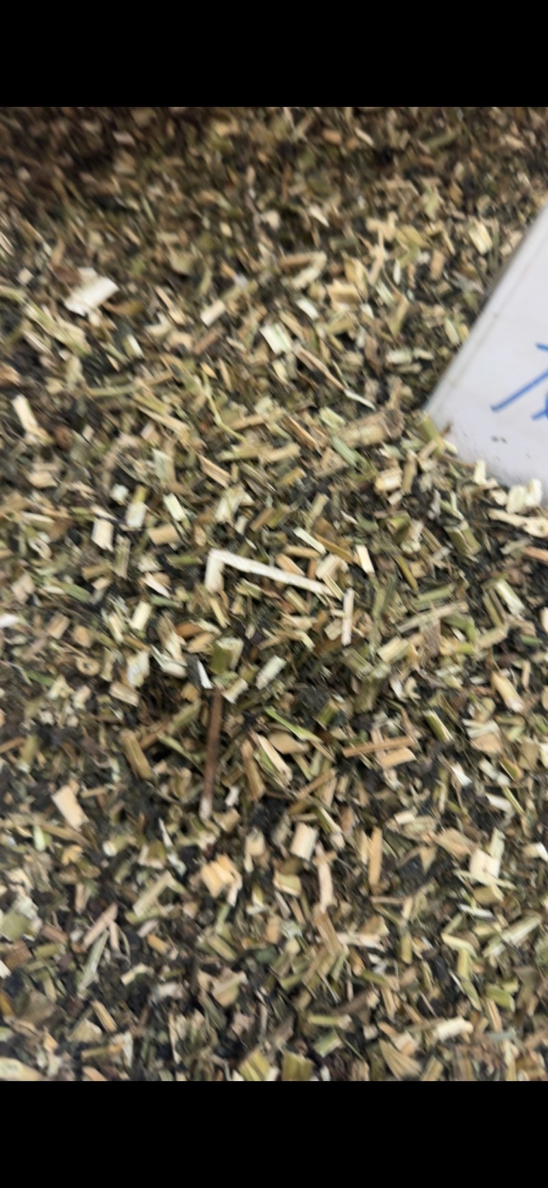 龙葵中药材正品无硫野生龙葵批发零售货真价实
