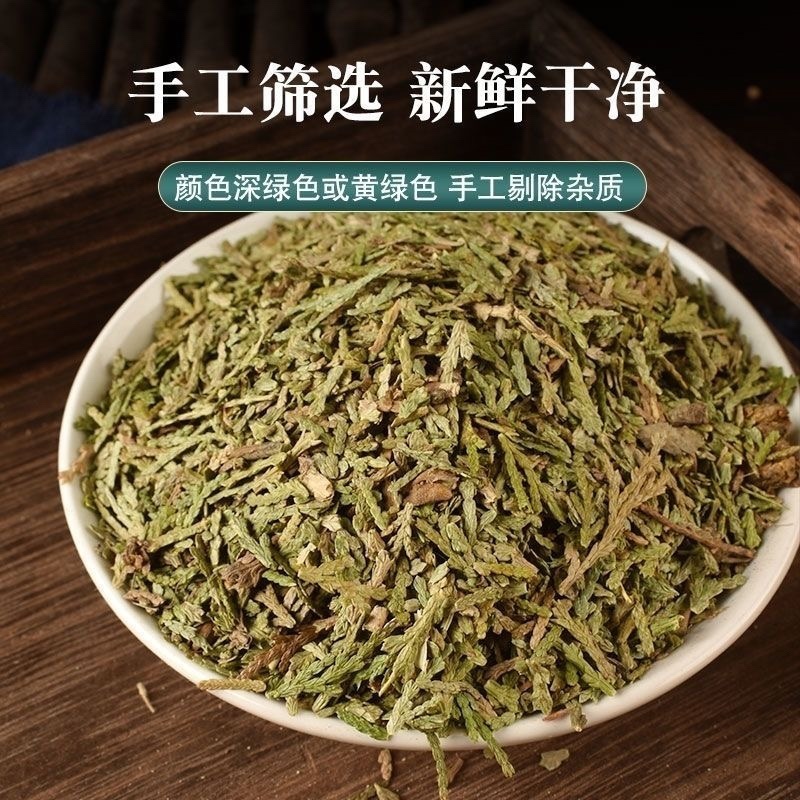 侧柏叶中药材正宗无硫野生正品批发零售货真价实