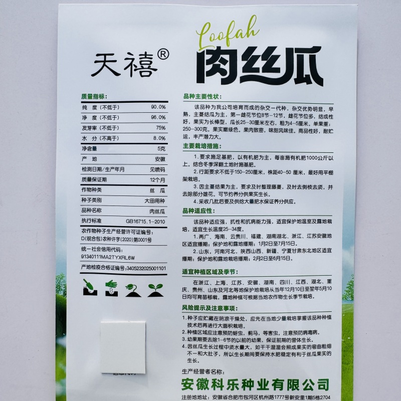肉丝瓜种子杂交一代早熟长棒肉丝瓜种子强雌型嫩绿肉丝瓜种子
