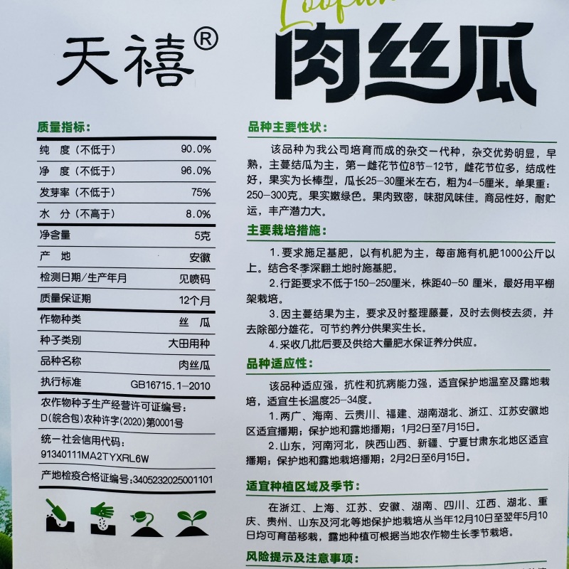 肉丝瓜种子杂交一代早熟长棒肉丝瓜种子强雌型嫩绿肉丝瓜种子