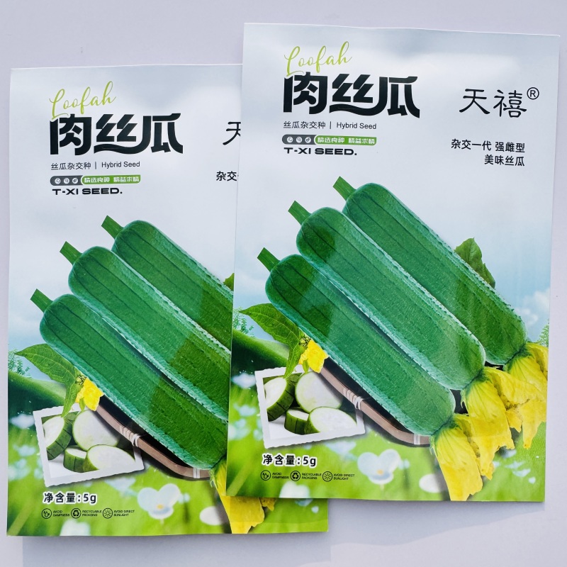 肉丝瓜种子杂交一代早熟长棒肉丝瓜种子强雌型嫩绿肉丝瓜种子
