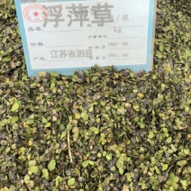 浮萍草中药材正品无硫正宗野生浮萍草批发零售
