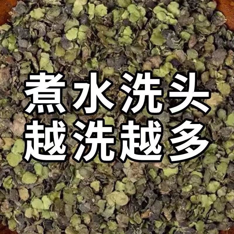 浮萍草中药材正品无硫正宗野生浮萍草批发零售