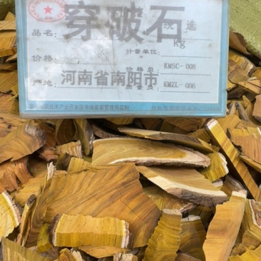 穿破石中药材正品无硫穿破石野生30年穿破石