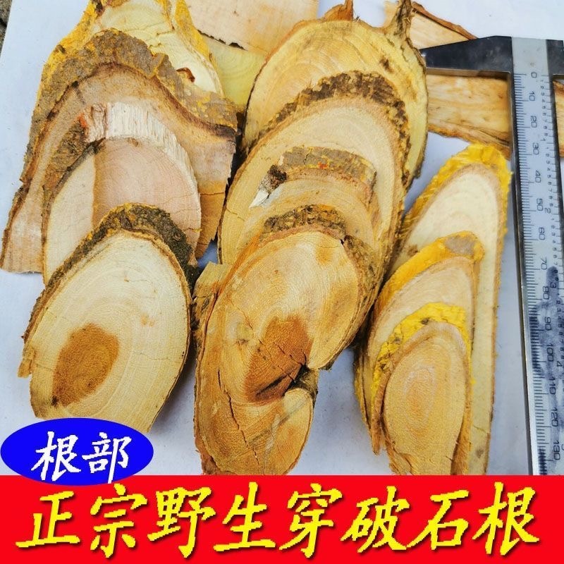 穿破石中药材正品无硫穿破石野生30年穿破石