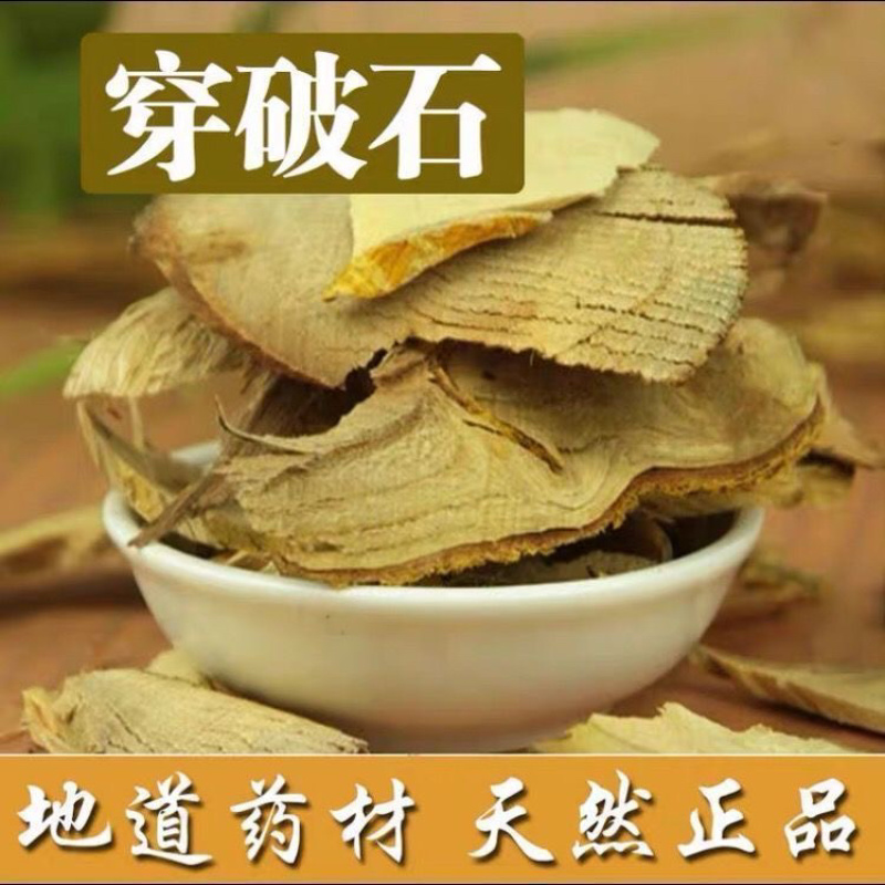穿破石中药材正品无硫穿破石野生30年穿破石
