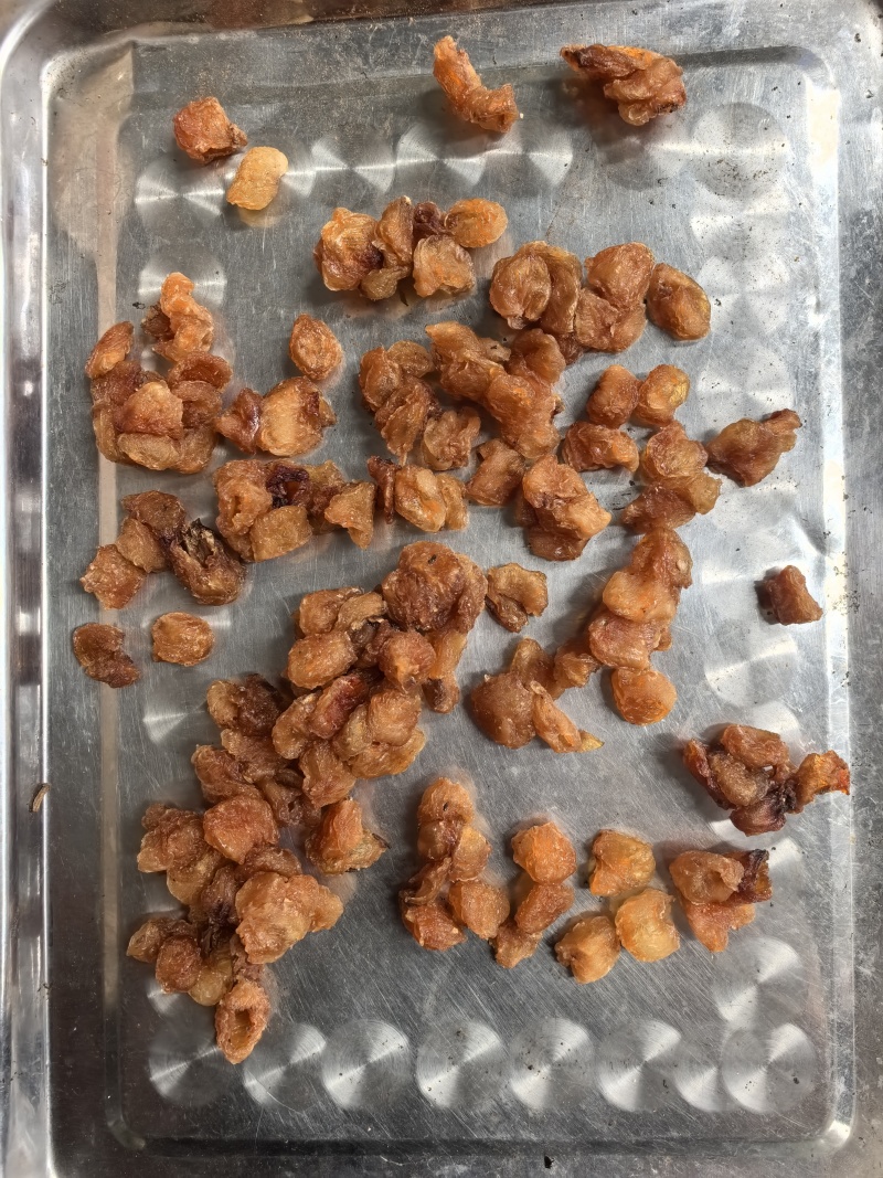 广西无硫桂圆肉批发无核足干无糖龙眼肉干货