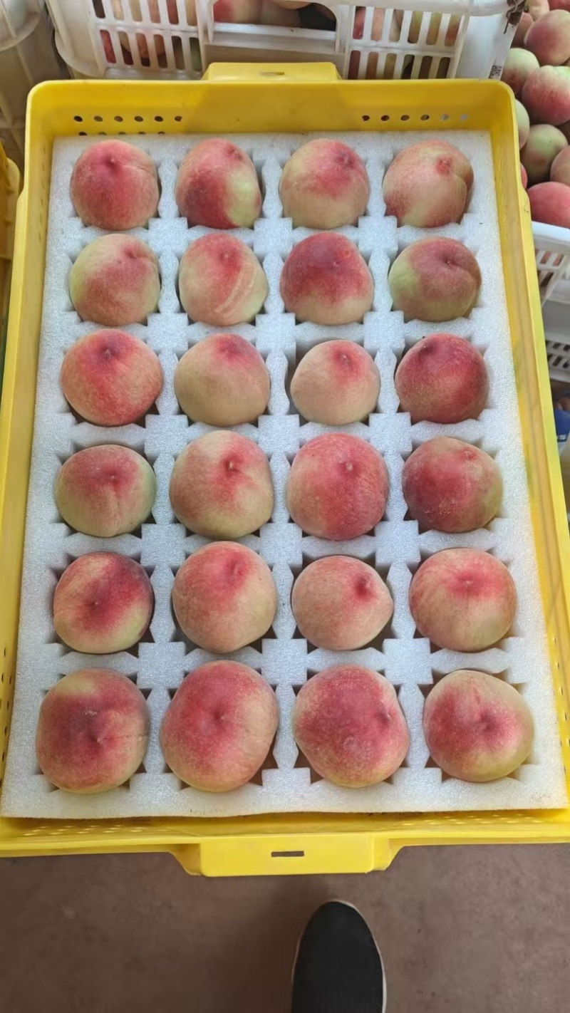 水蜜桃脆甜多汁龙泉驿