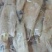鲜冻比管鱼，海兔，公母混搭，质量很好