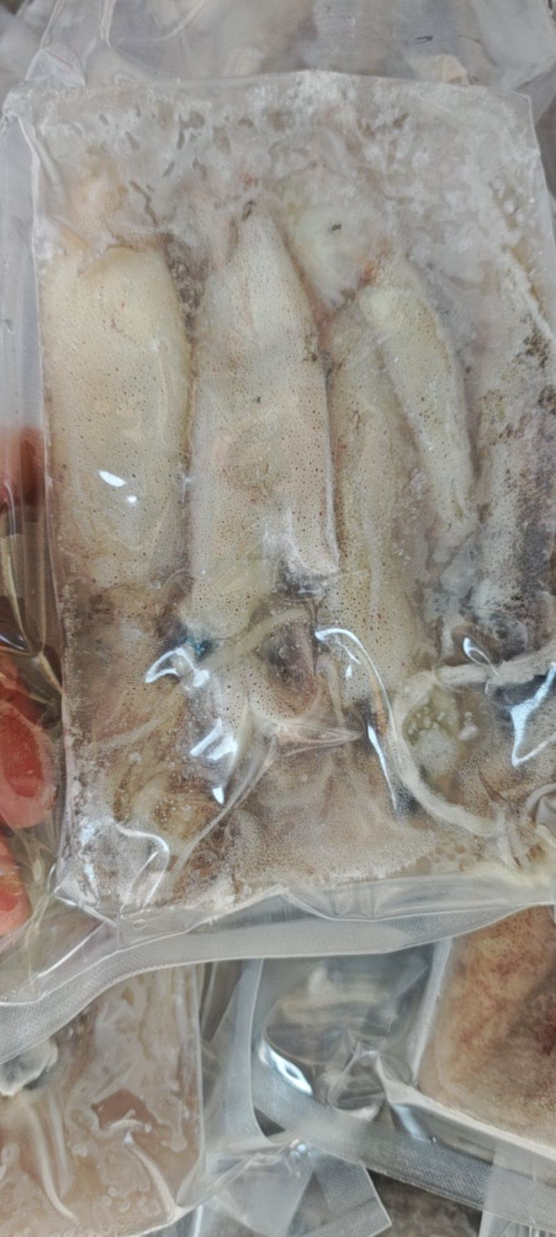 鲜冻比管鱼，海兔，公母混搭，质量很好