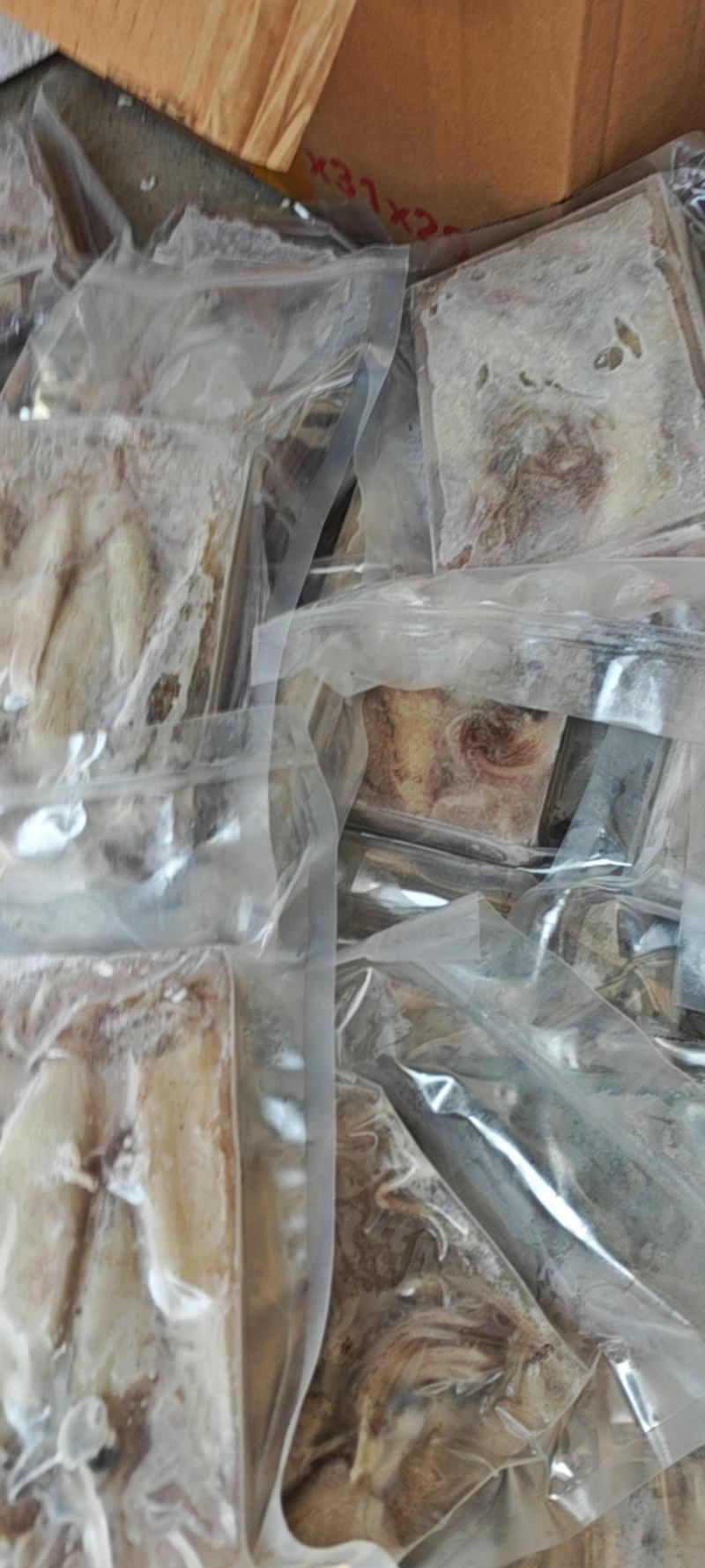 鲜冻比管鱼，海兔，公母混搭，质量很好