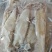 鲜冻比管鱼，海兔，公母混搭，质量很好