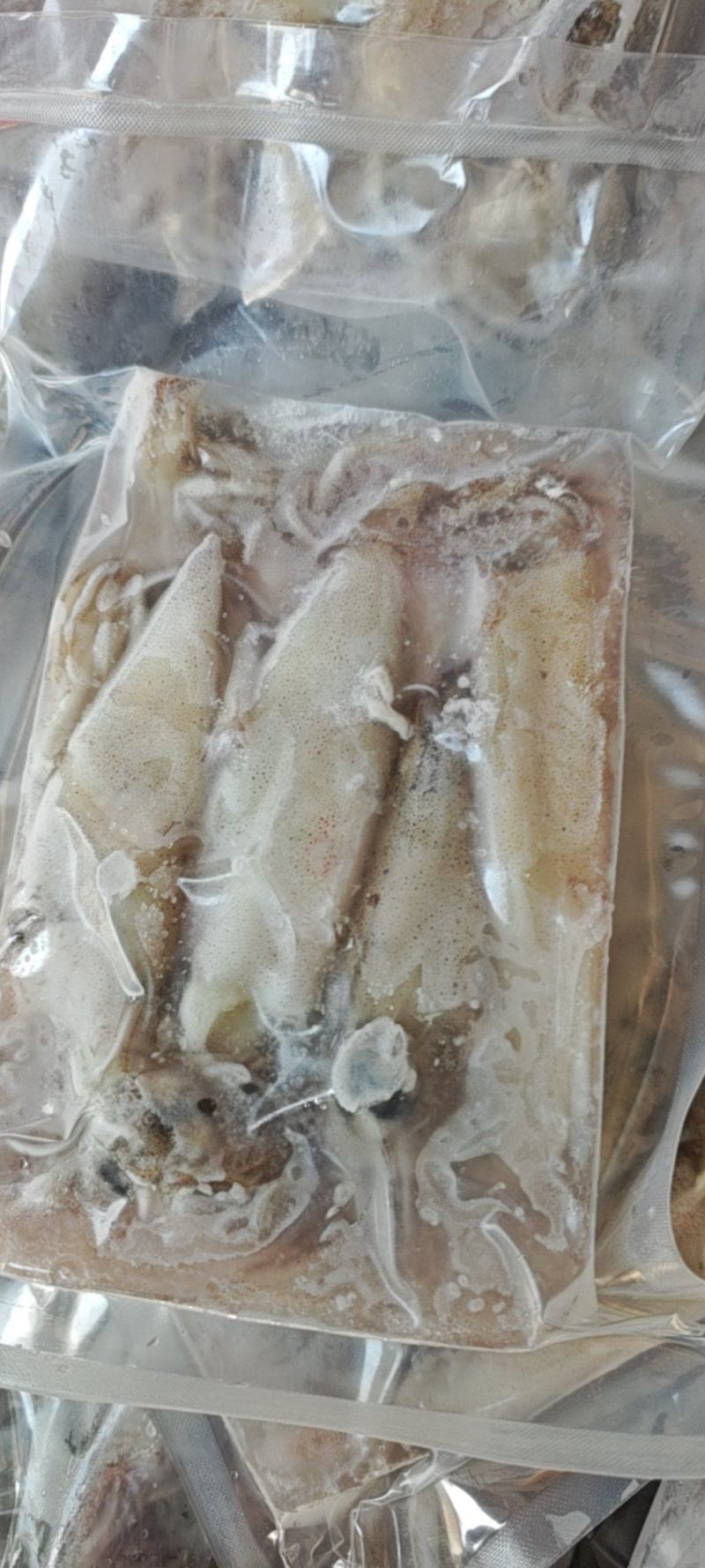 鲜冻比管鱼，海兔，公母混搭，质量很好