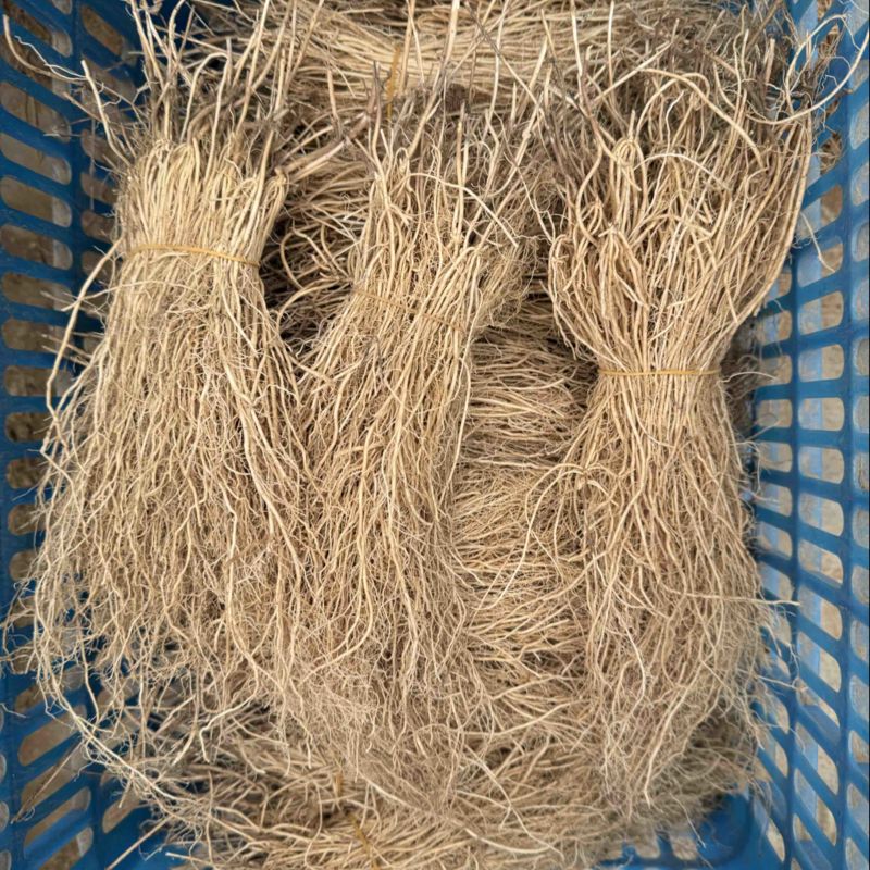徐长卿齐根货，水洗无杂质。徐长卿中药材各种规格