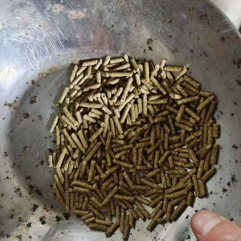 定做宠物兔饲料